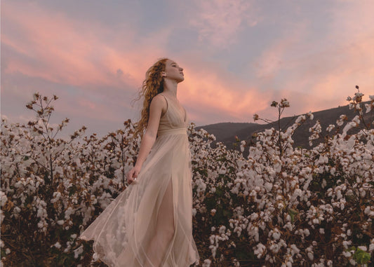 Coucher de soleil dans le champ de coton | Tableaux sur Toile