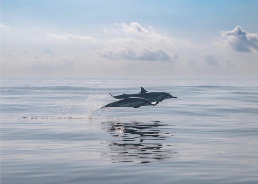 Tiempo de tranquilidad | Papel Pintado Fotográfico