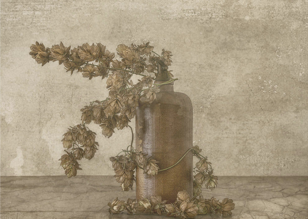 Chmiel pospolity 2 | Wydruki na łótnie