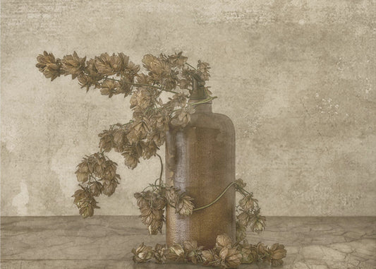 Houblon commun 2 | Tableaux sur Toile