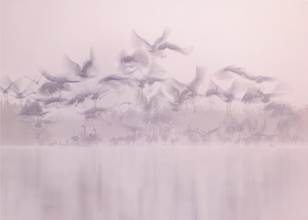 Fantasmas | Impresiones en Lienzo