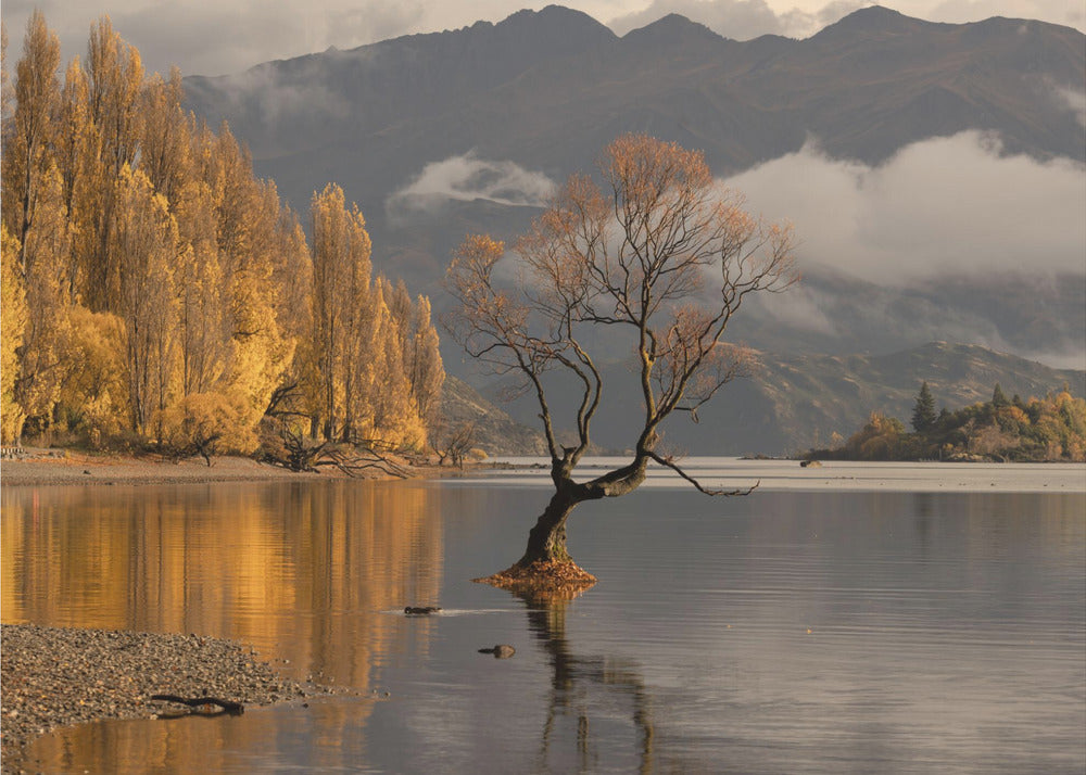 Syksy Wanakassa | Valokuvatapetit