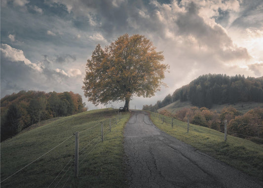 À chaque fois | Tableaux sur Toile