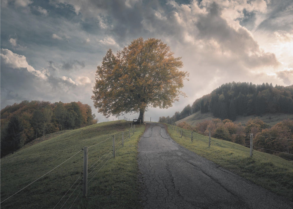 Una y otra vez | Impresiones en Lienzo