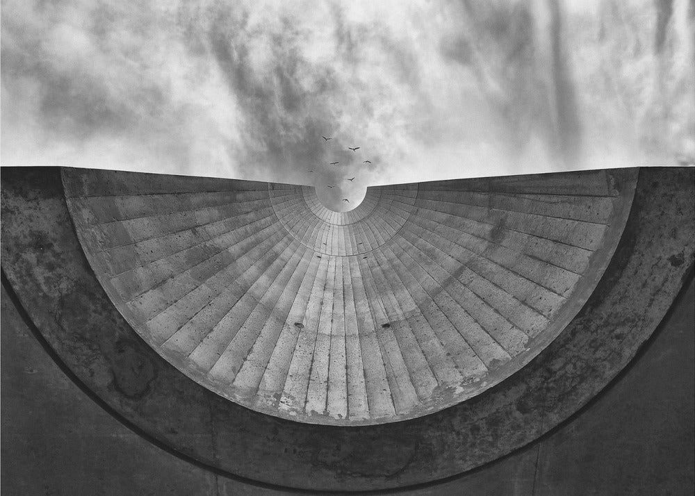 Pájaros sin alambre | Impresiones en Lienzo