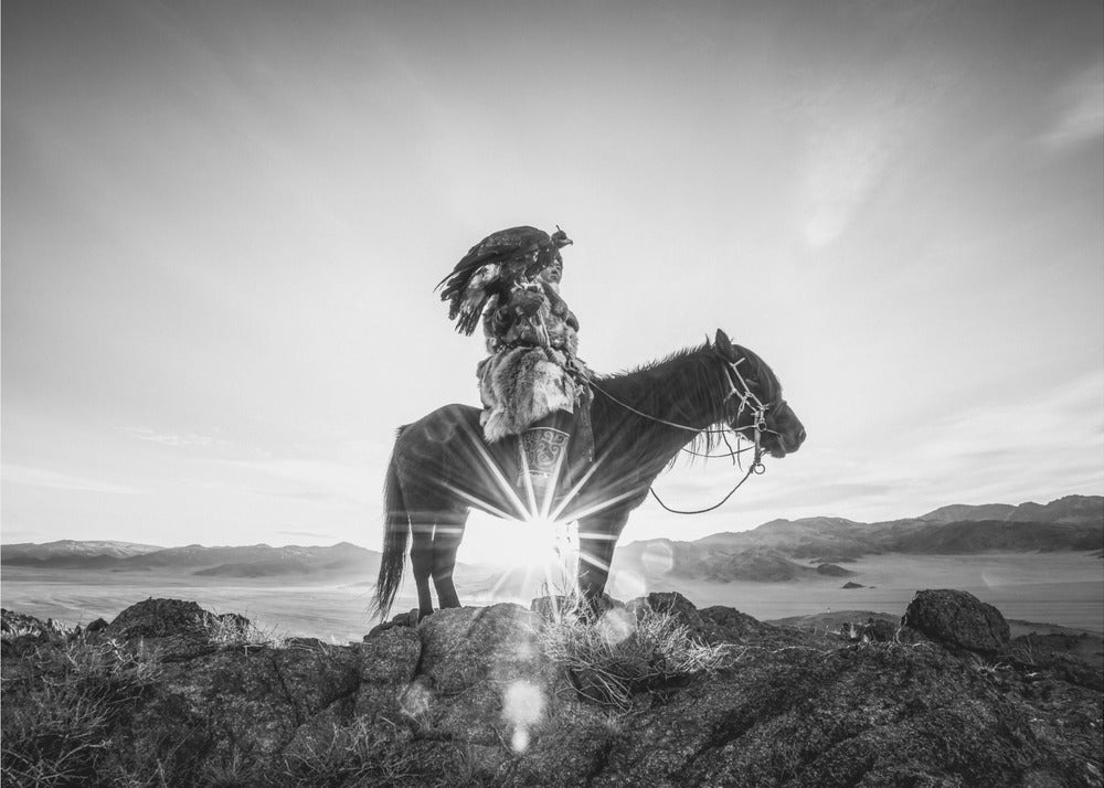 Nro 204 | Canvastaulut