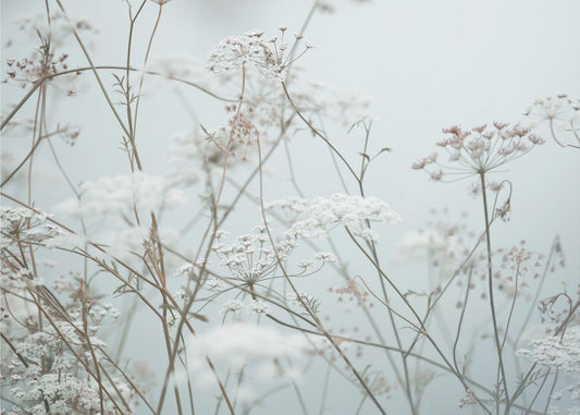 Kesähetkiä 12 | Canvastaulut