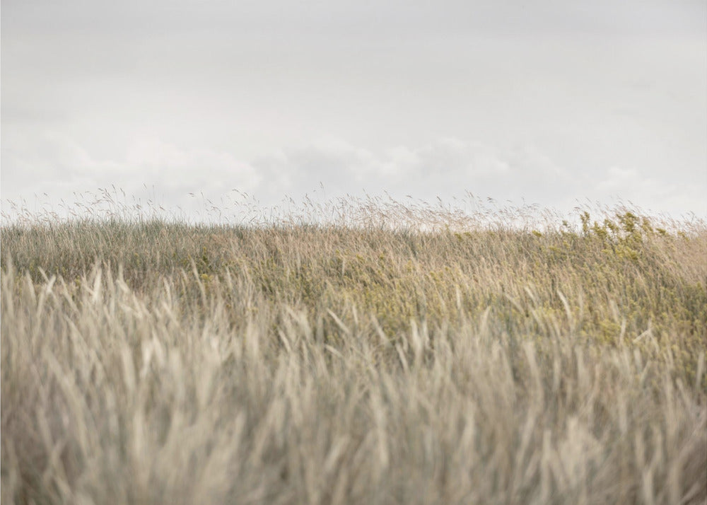 Dyynit ja pilvet 2 | Valokuvatapetit