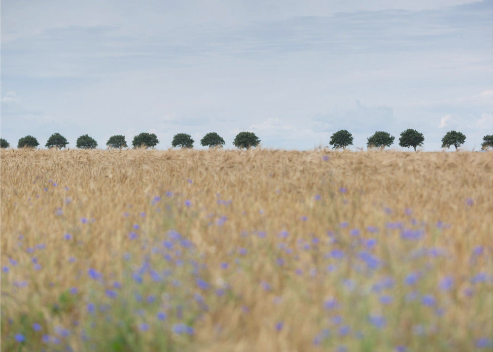 Pohjoismaisia hetkiä 4 | Valokuvatapetit