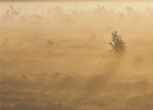 20220809 Dsf8029 2 | Canvastaulut