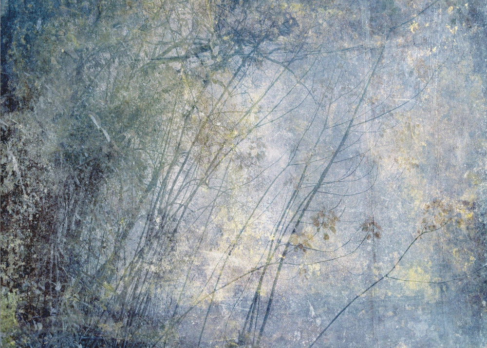 Korkea Sierra I | Canvastaulut