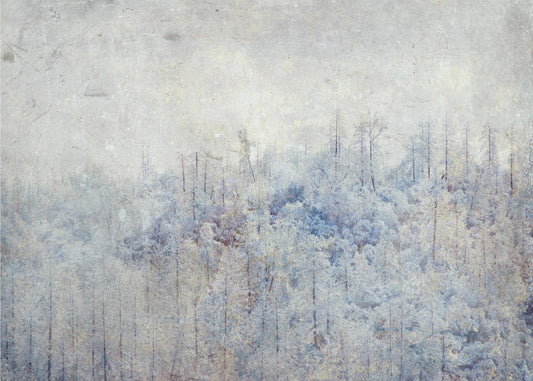 Korkea Sierra III | Canvastaulut