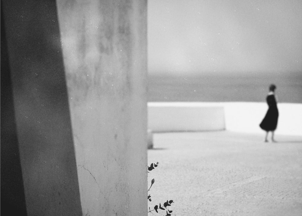 Pieni oksa | Canvastaulut