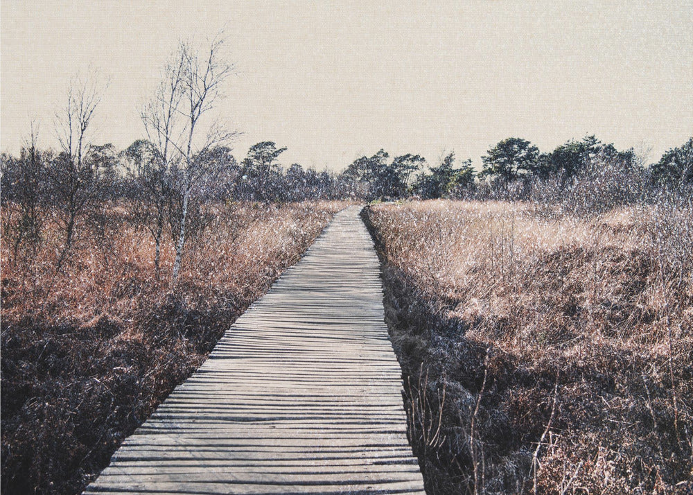 Nature reserve | Canvas