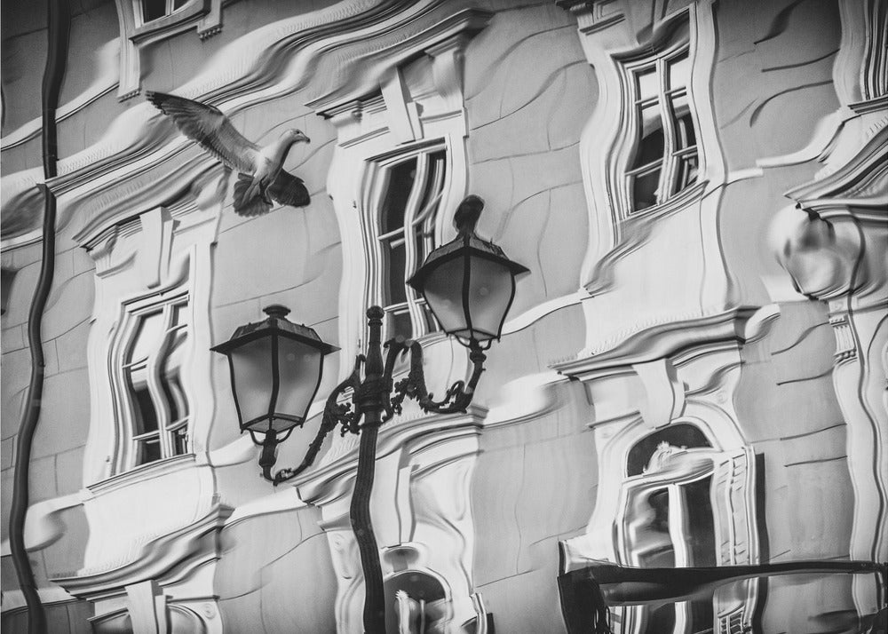 Lokin heijastus | Canvastaulut