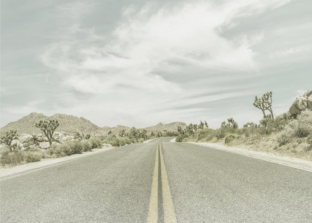 Zabytkowe drzewa Joshuy, Park Boulevard | Wydruki na łótnie