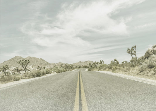 Zabytkowe drzewa Joshuy, Park Boulevard | Wydruki na łótnie