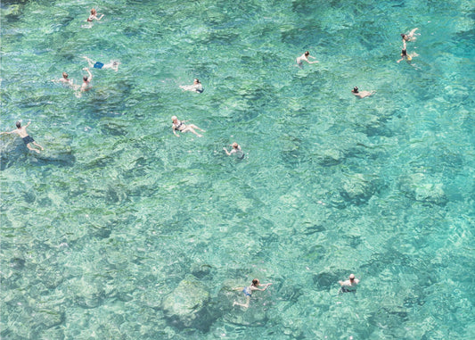 Schwimmen im Meer | Leinwand