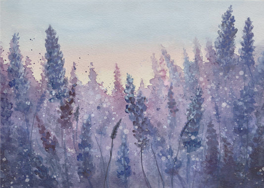 Violetti kenttä | Valokuvatapetit