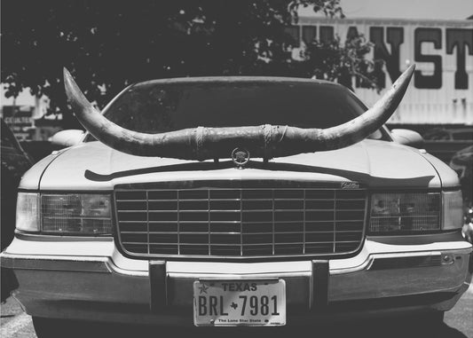 Przejażdżka po Teksasie | Wydruki na łótnie