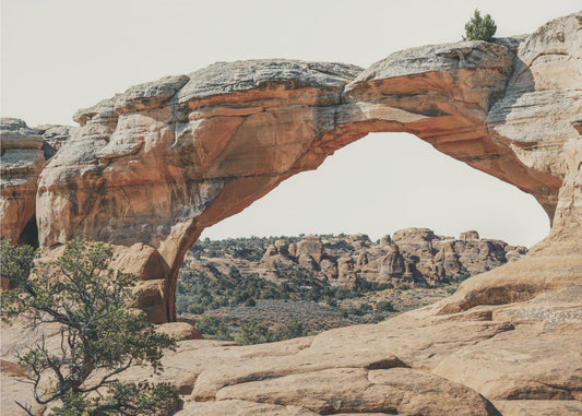 Widok na zachód | Wydruki na łótnie
