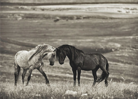 läheinen kohtaaminen | Julisteet - Taidevedokset