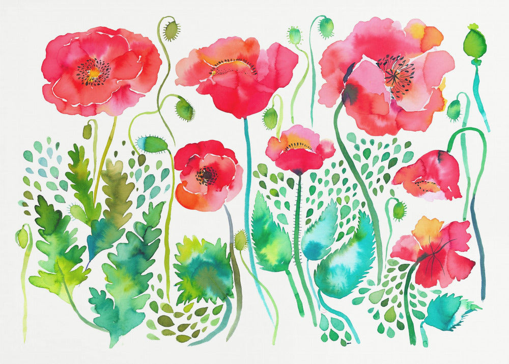 Prado de amapolas rojas de primavera | Impresiones en Lienzo