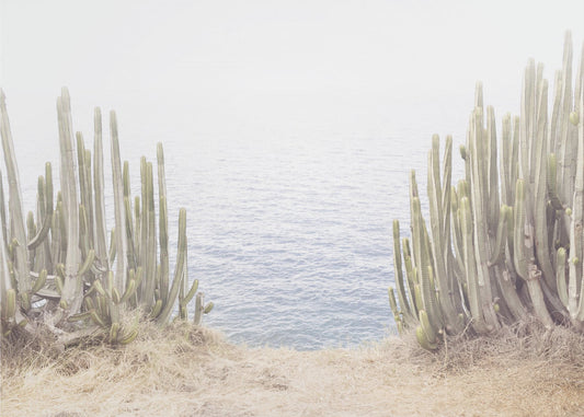 Kaktus oceaniczny | Wydruki na łótnie
