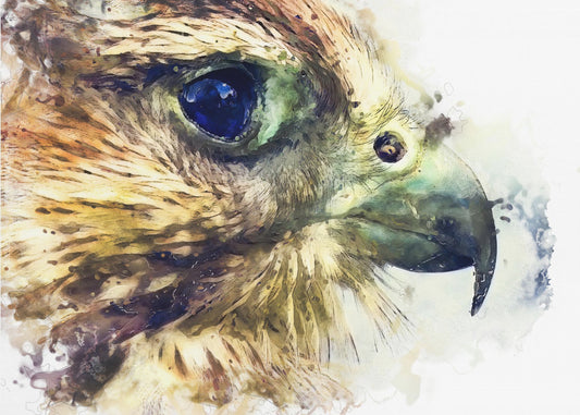 Tier Vogel Turmfalke Aquarell Tierkunst | Poster