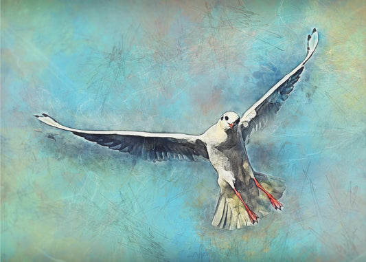 Tier Möwe Vogel Aquarell Tierkunst | Poster