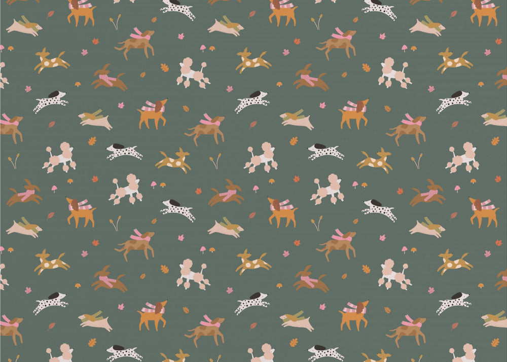 Dpal12 | Valokuvatapetit