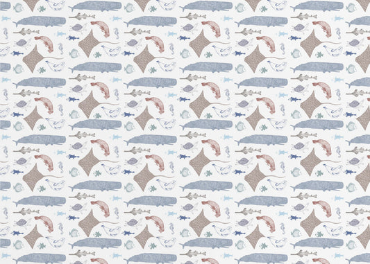 Valtameri | Valokuvatapetit