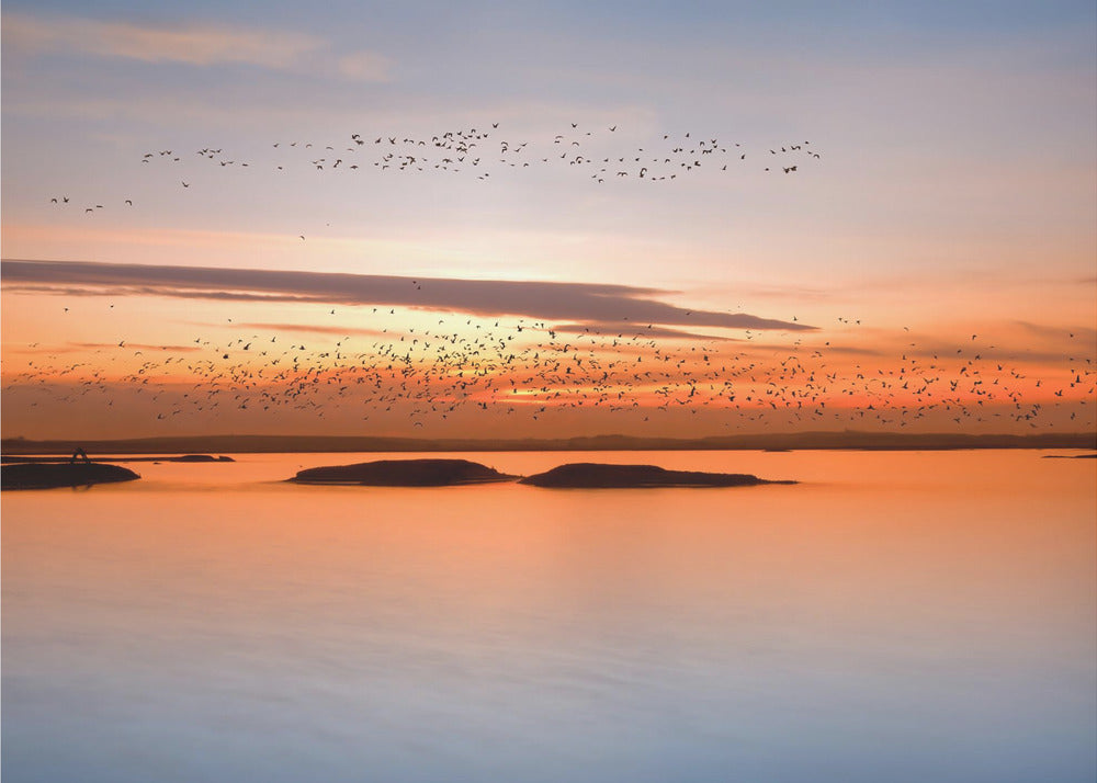 auringonlaskun aikaan | Valokuvatapetit