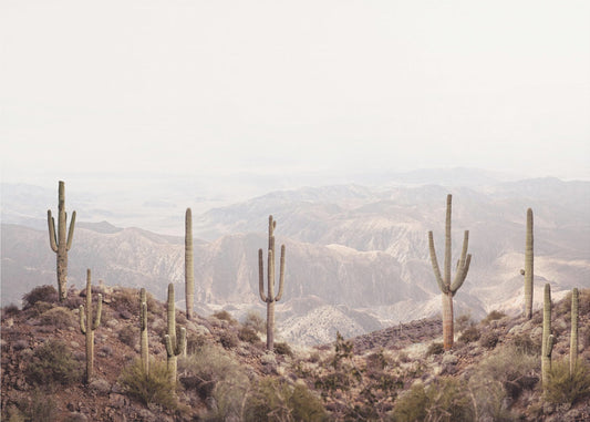 Arizonan laakso | Canvastaulut