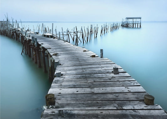 Carrasqueira II | Fototapeten