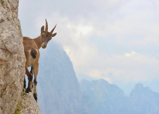 Jännitys | Valokuvatapetit