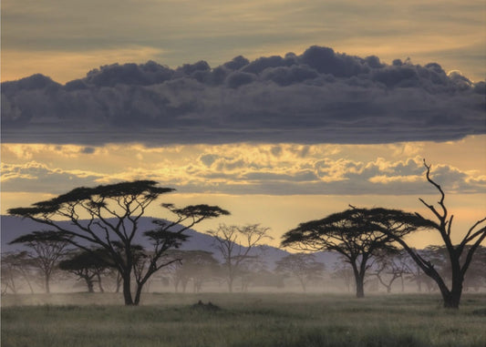 Hyvää iltaa Tansania | Valokuvatapetit
