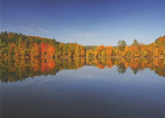 Syksy | Julisteet - Taidevedokset