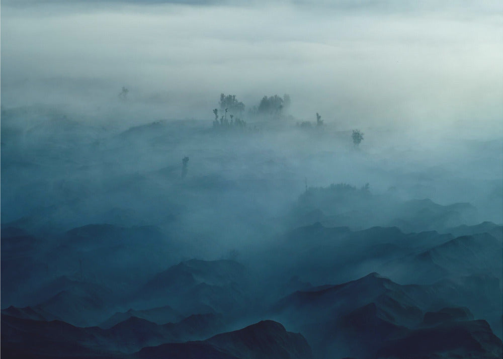 Sumun maa | Julisteet - Taidevedokset