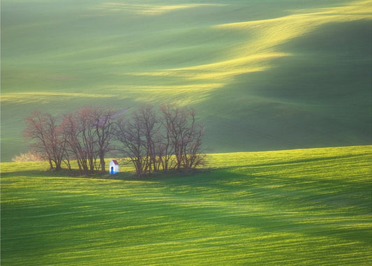 Felder... | Poster - Kunstdruck