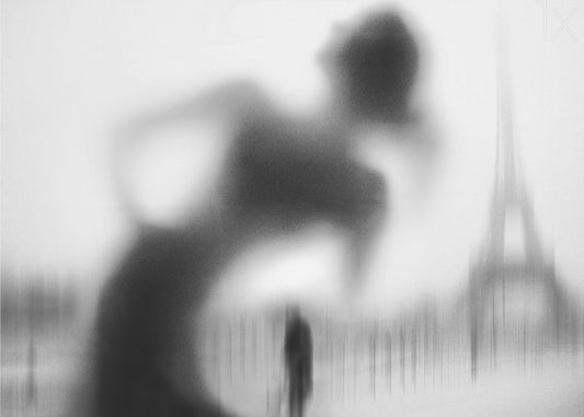 Pariisilainen | Canvastaulut