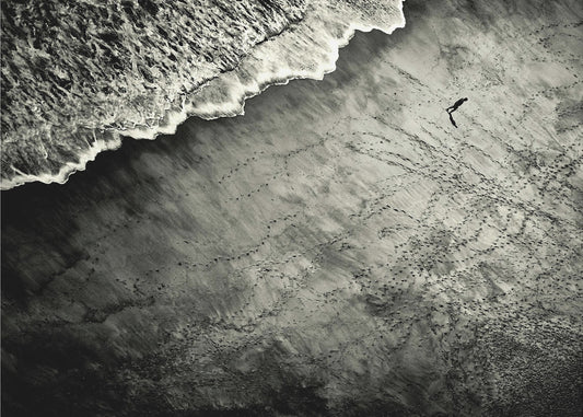 He katsovat | Julisteet - Taidevedokset