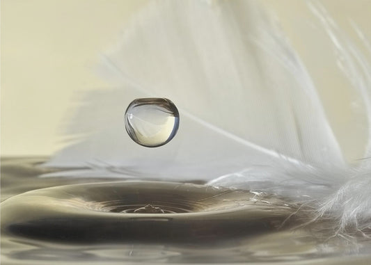 Höyhenet putoavat | Julisteet - Taidevedokset