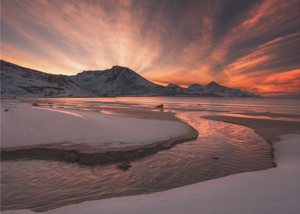 Kultainen auringonlasku | Valokuvatapetit