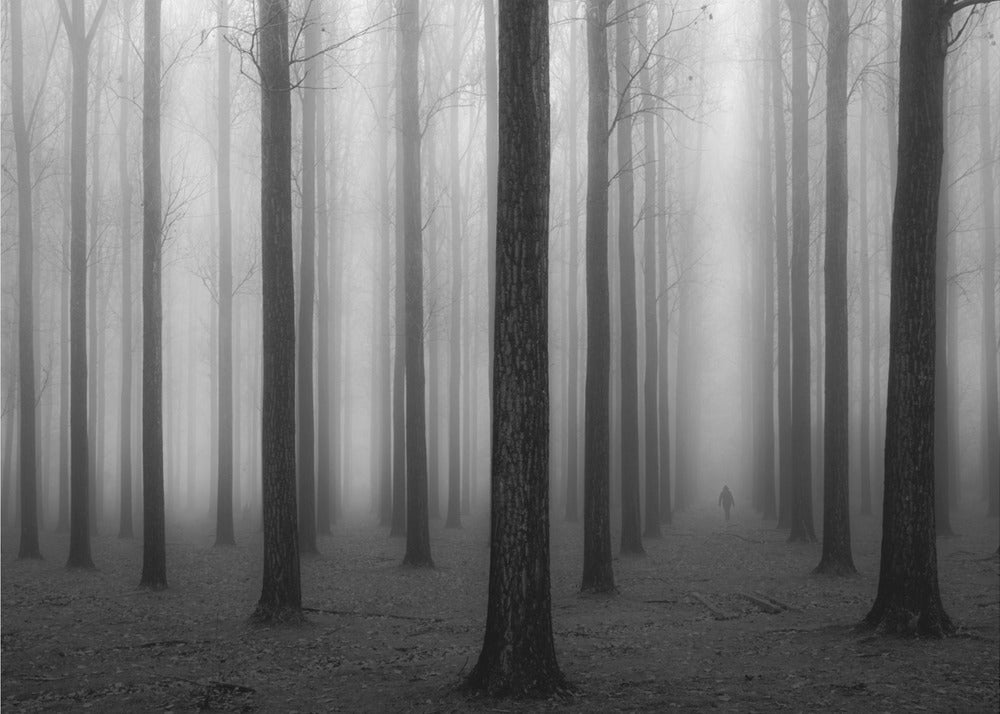In a Fog | Poster