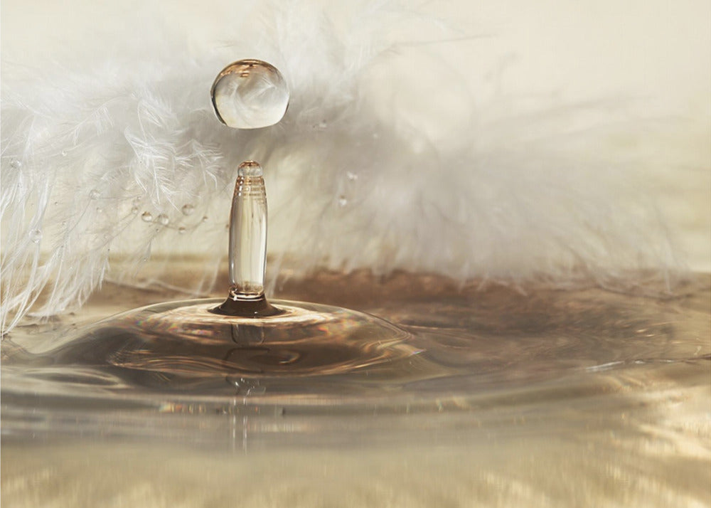 Kultaiset höyhenpisarat | Julisteet - Taidevedokset