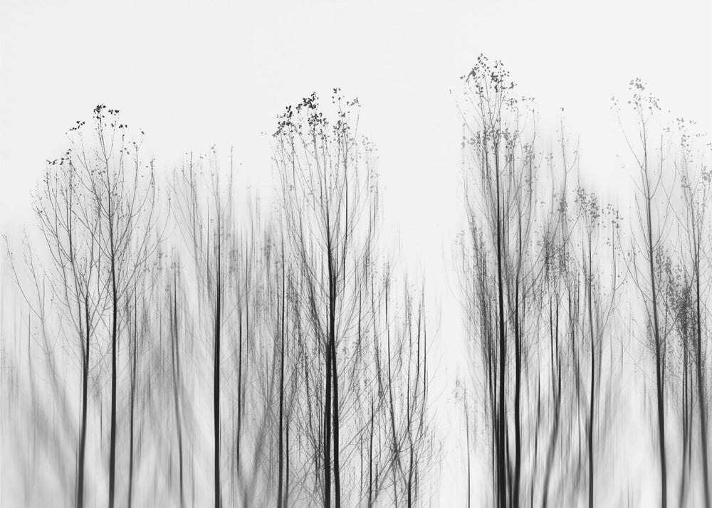 Ei perusteita | Julisteet - Taidevedokset