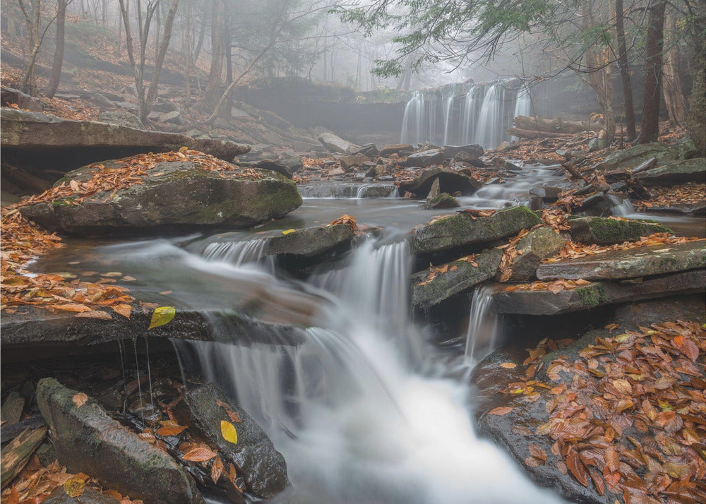 Aamu-sumu | Julisteet - Taidevedokset