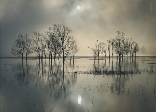 Järven salaisuus | Julisteet - Taidevedokset
