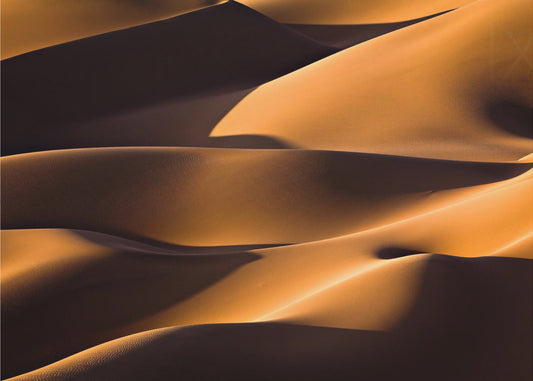 Licht und Schatten | Fototapeten